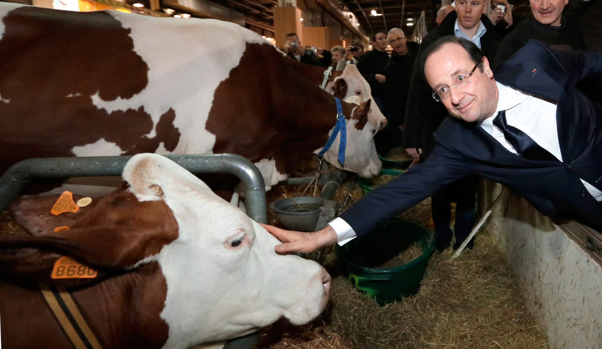 Salon de l’agriculture : le bal des hypocrites !
