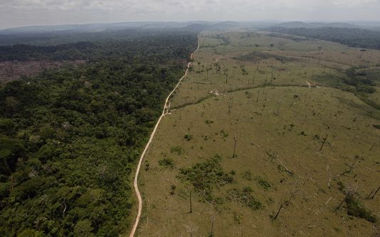 Brésil : Temer fait exploser la déforestation en Amazonie