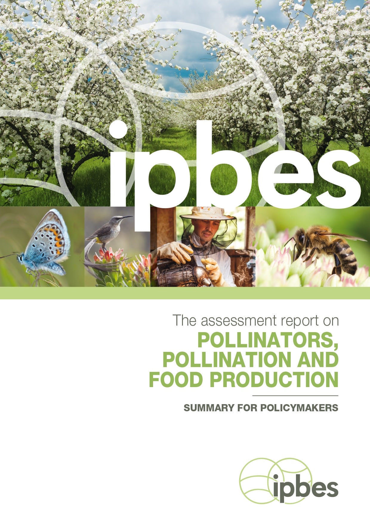 https://commons.wikimedia.org/wiki/File:Cover_page_Assessment_Report_on_Pollinators,_Pollination_and_Food_Production.jpg