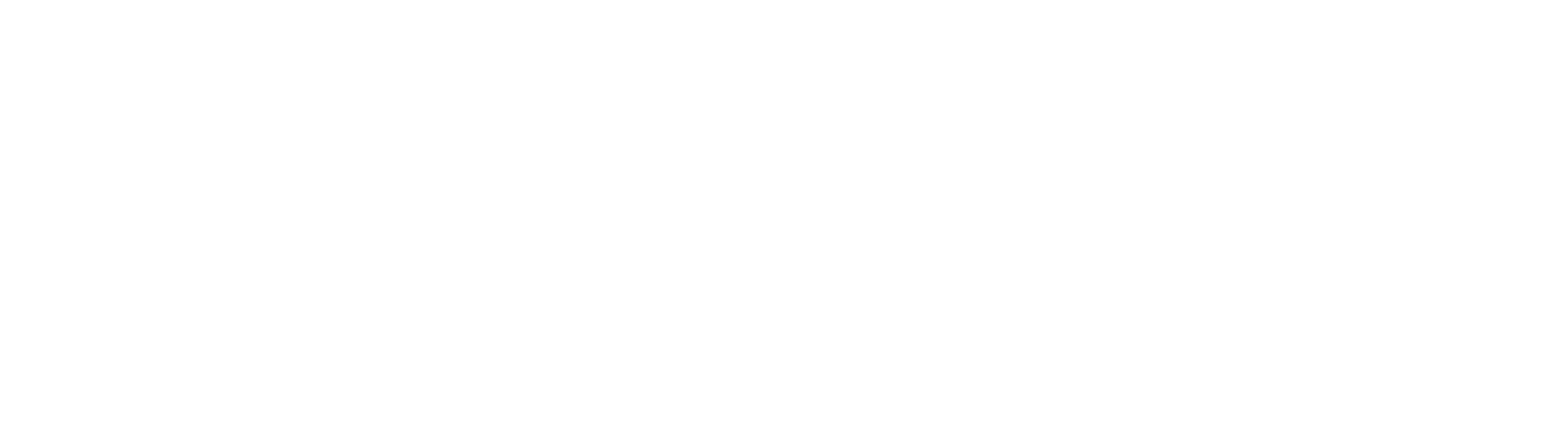 Institut Rousseau logo 2021