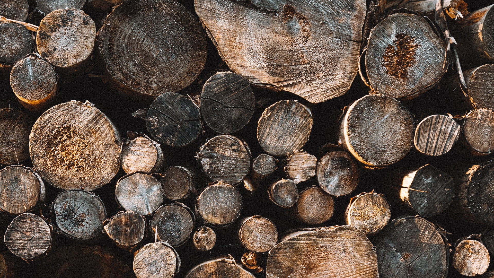 Une pile de rondins de bois - © Alex Azabache