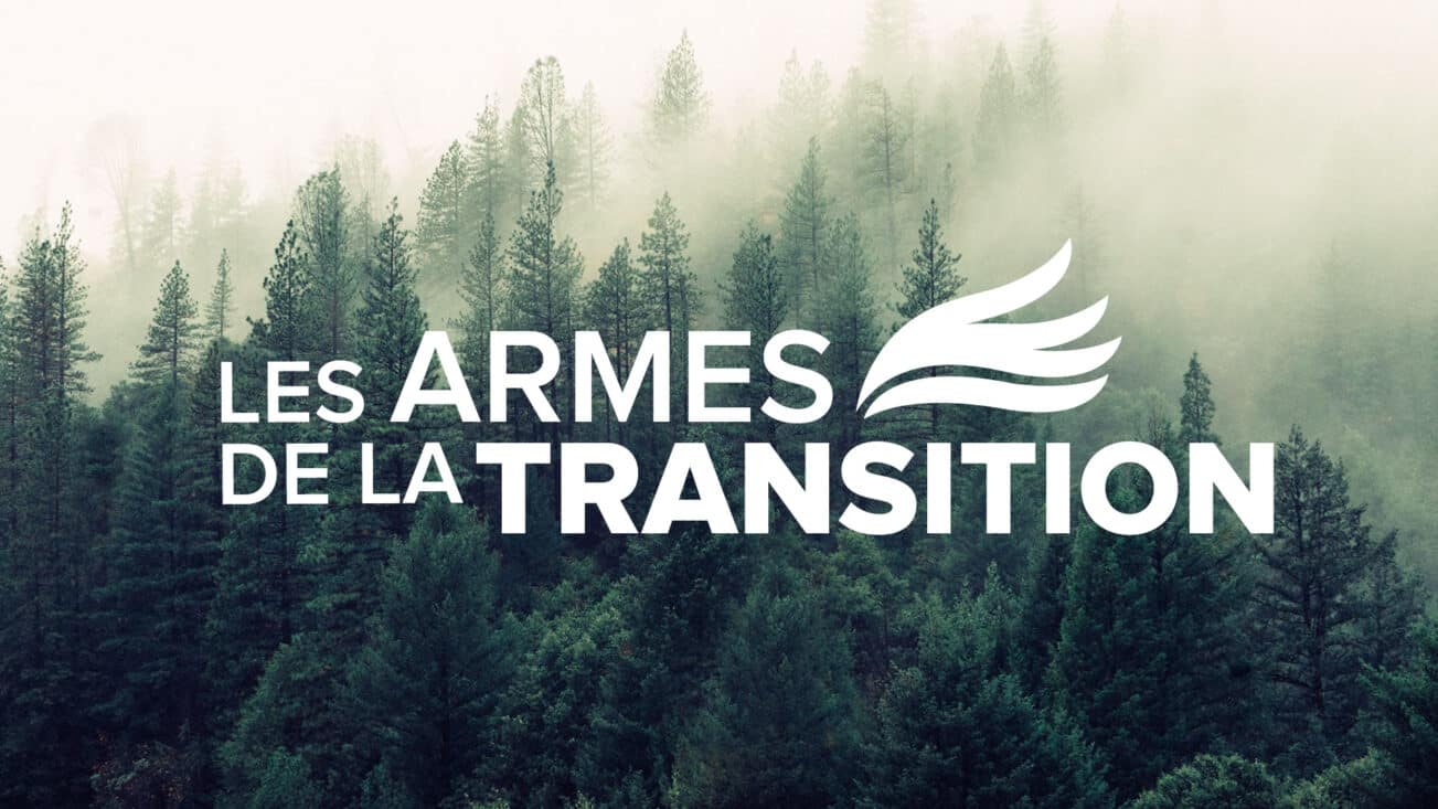 Les armes de la transition écologique LVSL Le Vent Se Lève Pierre Gilbert